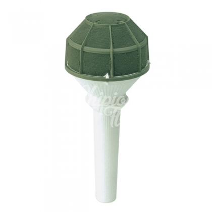 PAQUETE 6 RAMOS MEDIANOS