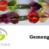 Anthurium Mixto 11cm