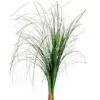 Beargrass